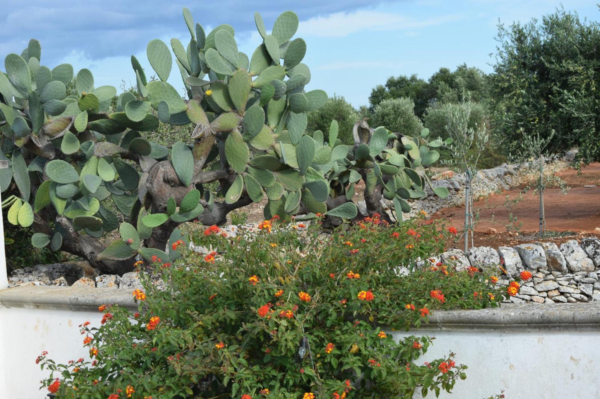 Villa Mimi Ostuni Εξωτερικό φωτογραφία