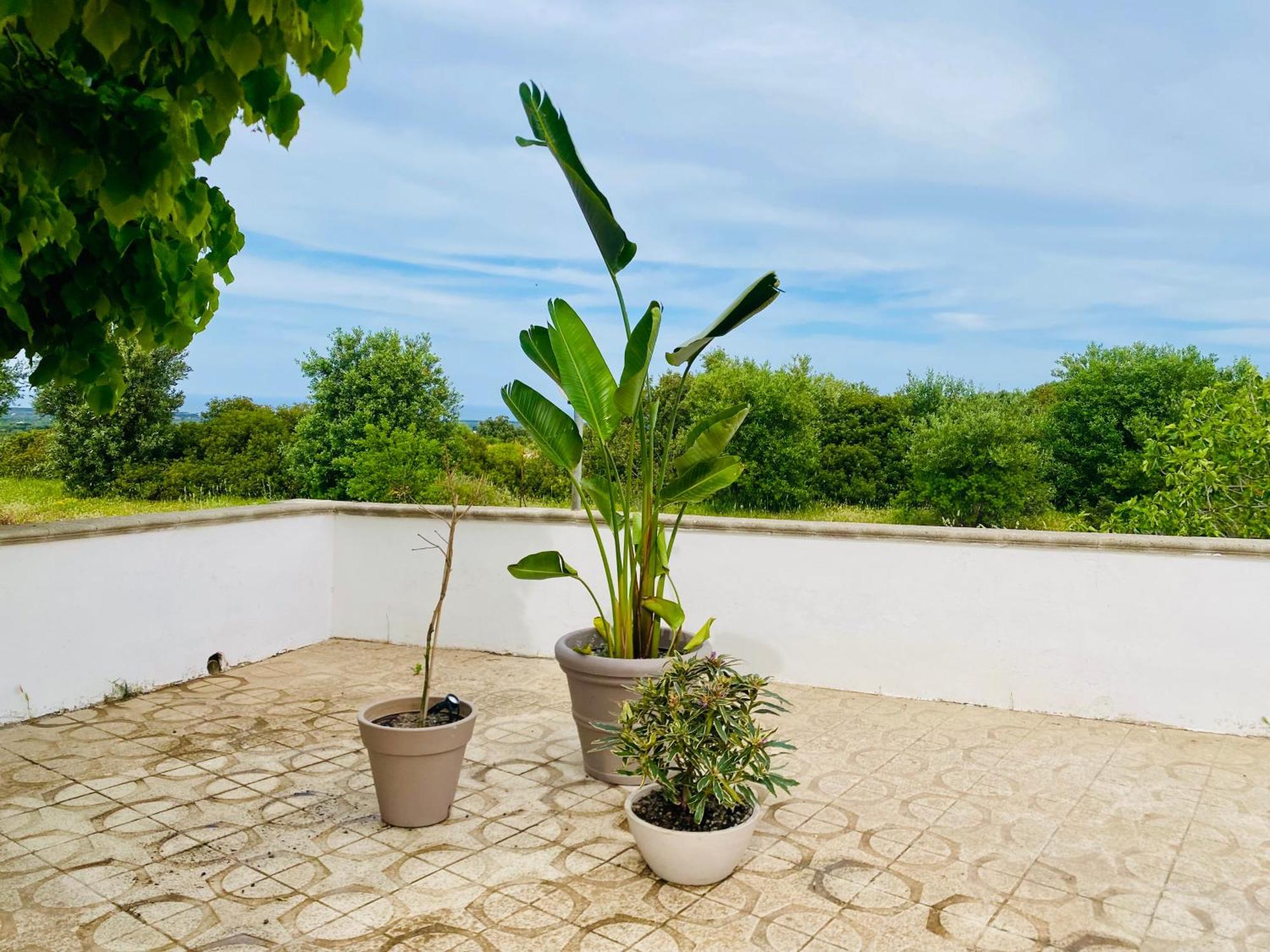Villa Mimi Ostuni Εξωτερικό φωτογραφία